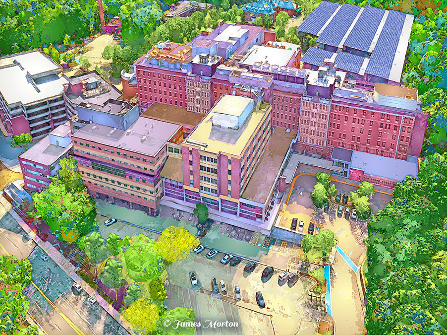 Aerial fine art print of Newton-Wellesley Hospital in Newton, MA, featuring rose red and violet tones, lush green trees, and warm afternoon light.