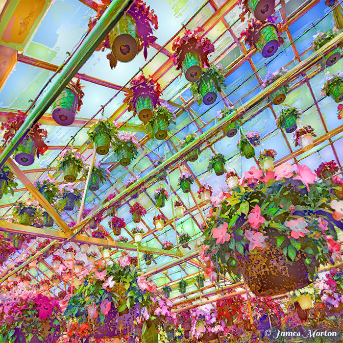 Floating Impatiens- Greenhouse Art Print - Hanging Plants, Potted Flowers
