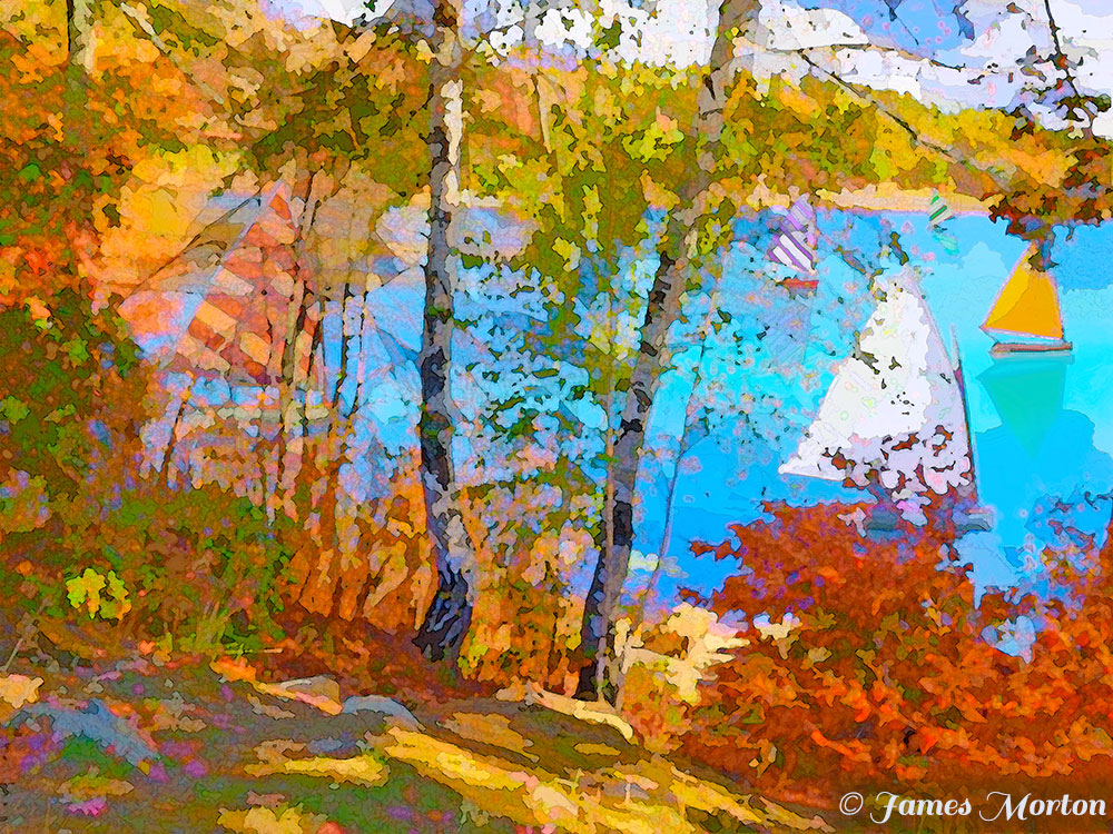 Houghton's Pond , Milton MA Art Print. Left side detail of fall foliage ; peeking through birch trees in Autumn to See small sailboats drifting along the pond.