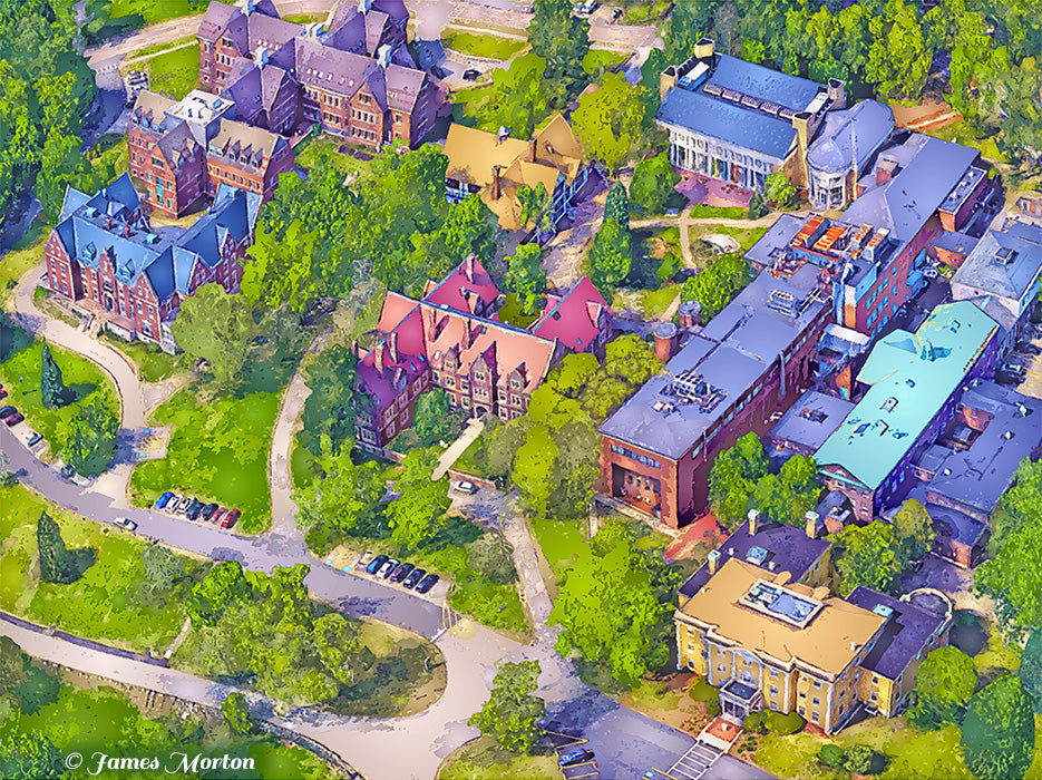 Aerial fine art print of McLean Hospital in Belmont Massachusetts featuring colorful cottage-style buildings, tree-lined pathways, and Olmsted-designed landscape in vivid archival-quality detail.