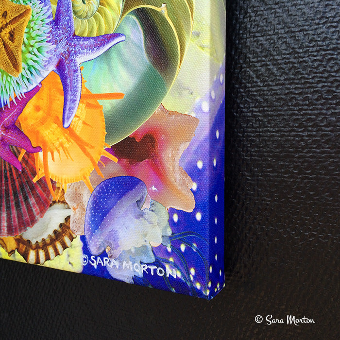 Seastar Swirl - Kaleidoscope Collage Art Print