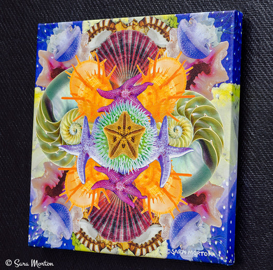 Seastar Swirl - Kaleidoscope Collage Art Print