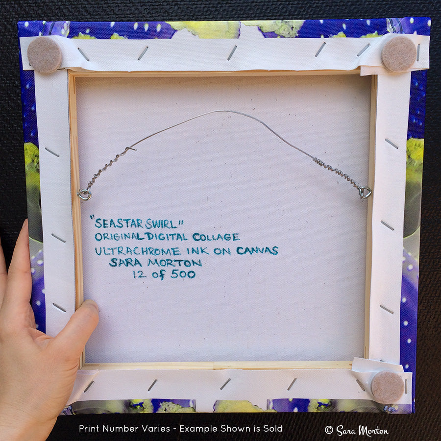 Seastar Swirl - Kaleidoscope Collage Art Print