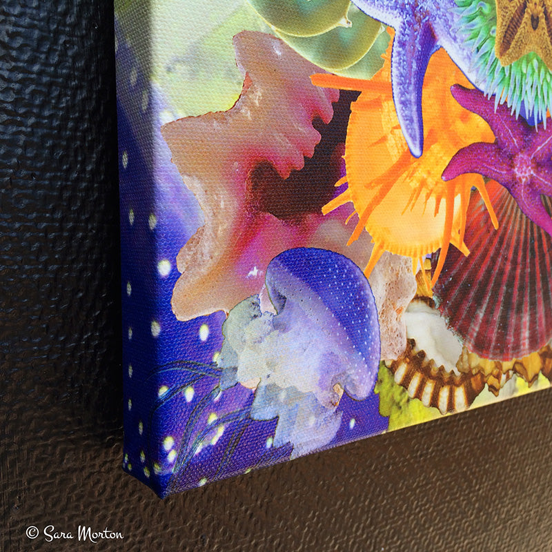 Seastar Swirl - Kaleidoscope Collage Art Print