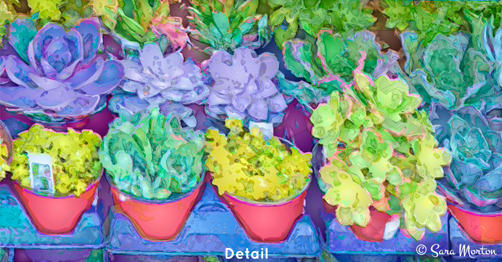 Succulents Art original Digigraph detailed view.