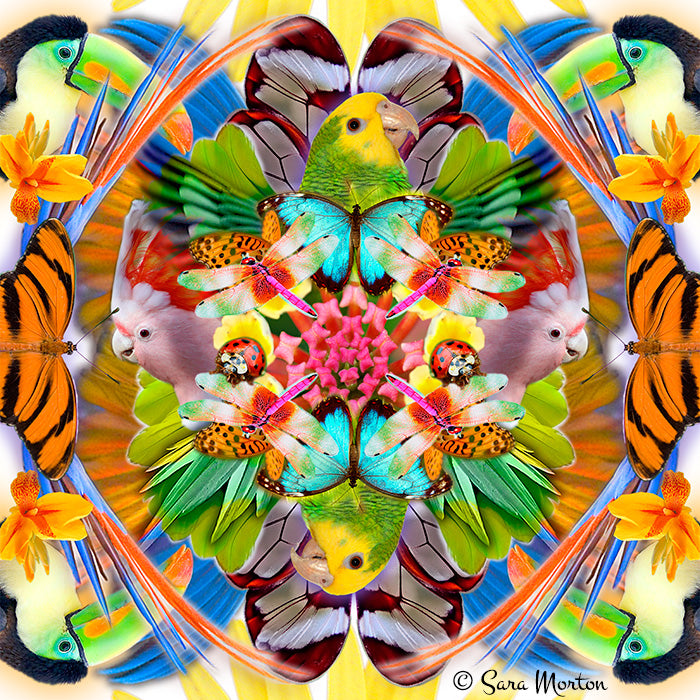 Vibrant Kaleidoscope Digital Collage of parrots and butterflies. Original art print available on canvas and paper by Artist Sara Morton.
