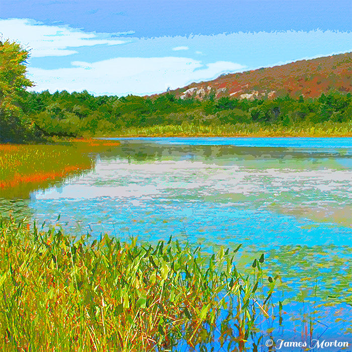 Detail view of Blue Hills fine art print featuring marsh plants, pond reflections, and portion of Blue Hills at Ponkapoag Pond