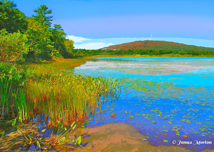 Blue Hills Reflections landscape art print showing lily pads on Ponkapoag Pond with Blue Hills Reservation in background, Canton Massachusetts