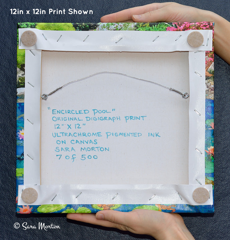 Back of Encircled Pool 12x12 inch canvas giclée print, hand-signed, titled, and numbered by Sara Morton.