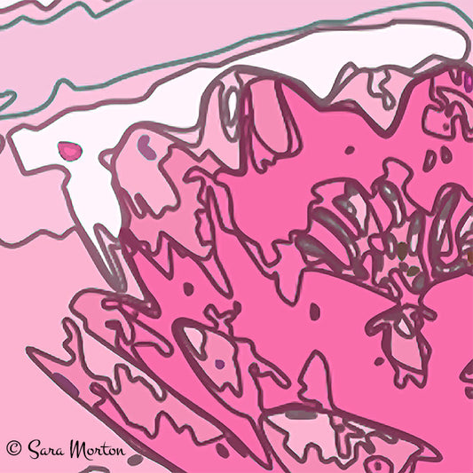 Close-up detail of pink lotus flower showing abstract vector art style and flowing line work by Sara Morton