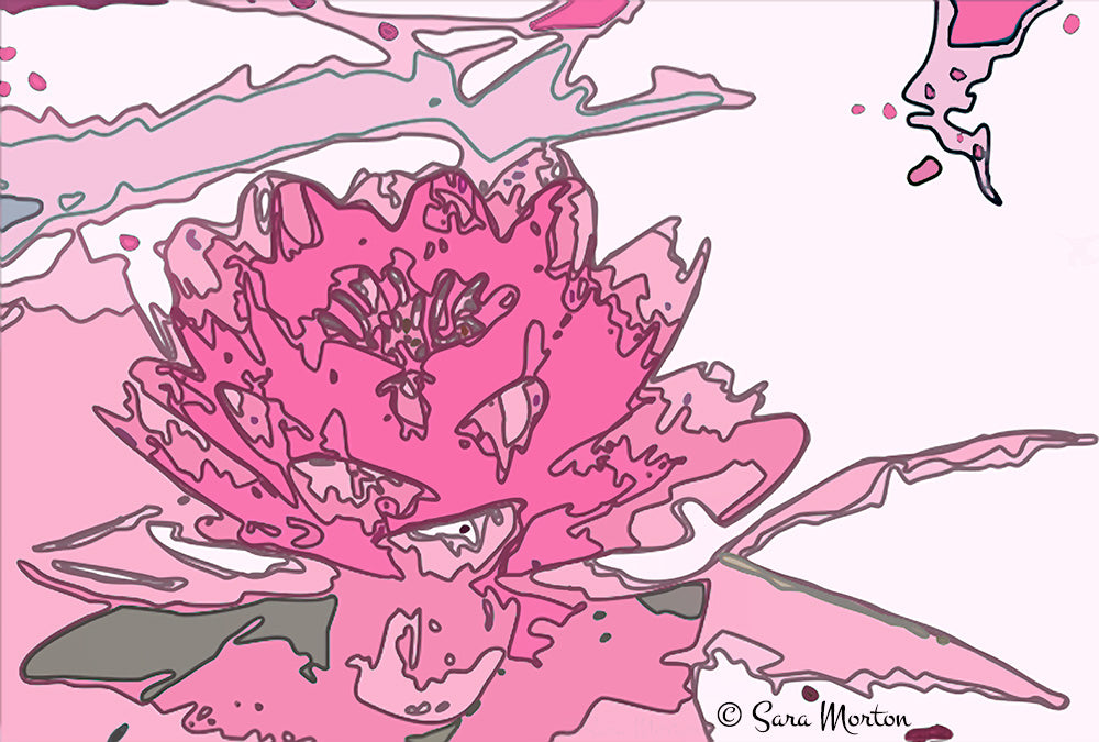 Pink lotus waterlily floating on water abstract vector art print by Sara Morton