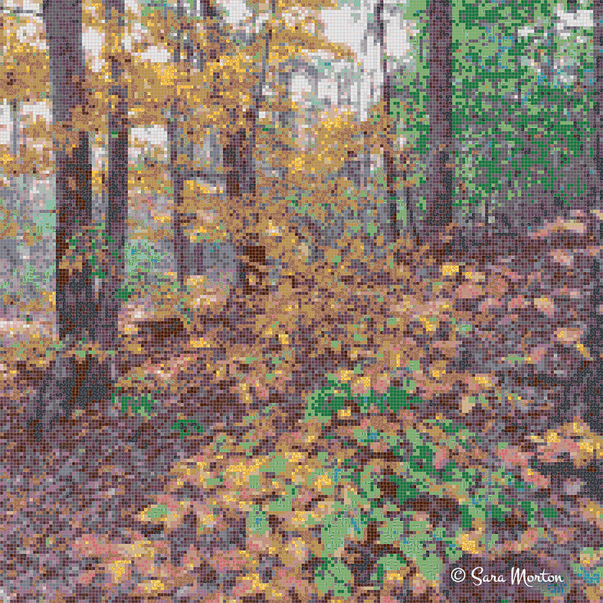 Digital mosaic of a forest scene with fall trees changing from green to gold and leaves dapple the forest floor.