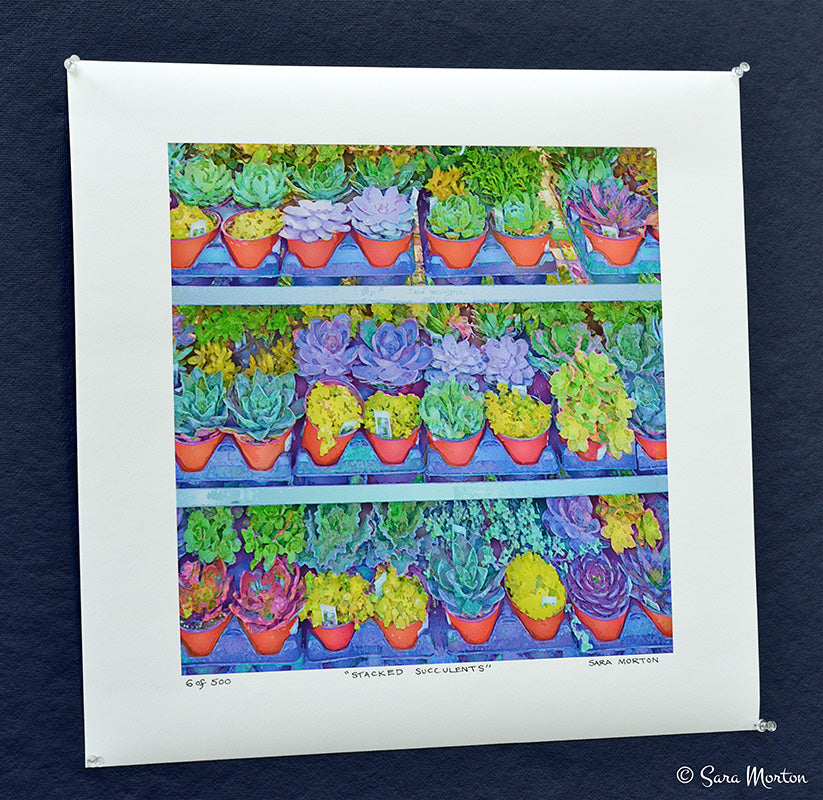 Succulent Plants Watercolor Style print on Fine Art Paper