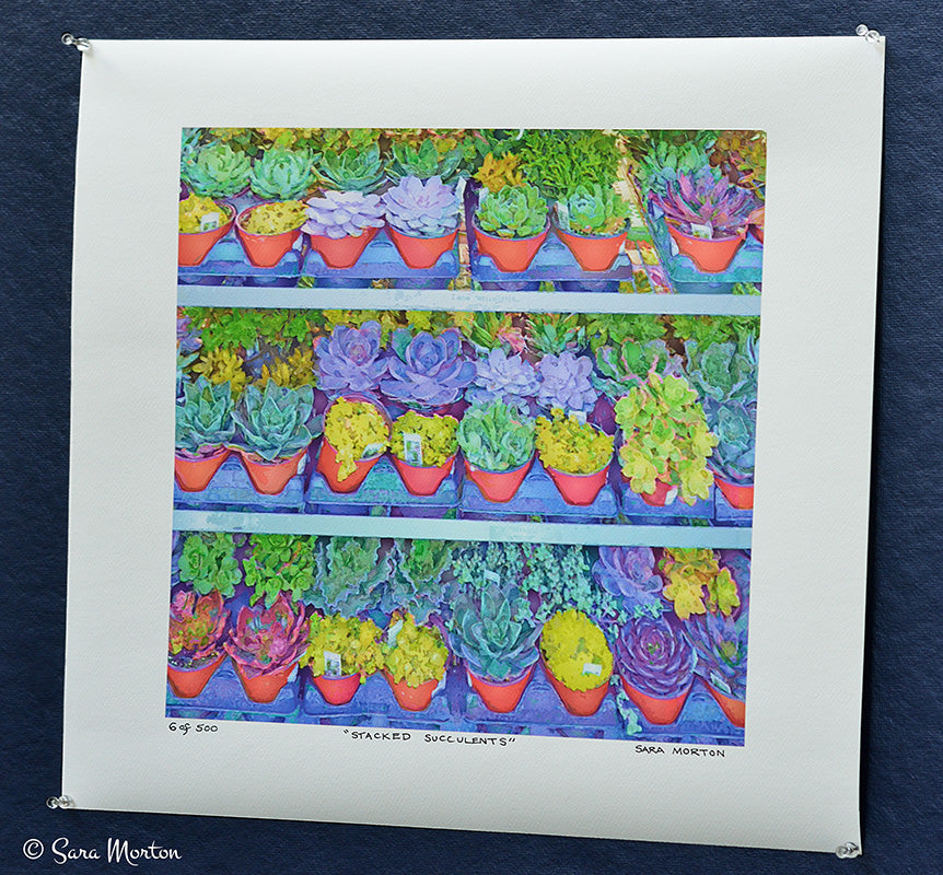 Succulents Painting Botanical Art Print on watercolor paper 16in x 16in right angle view.