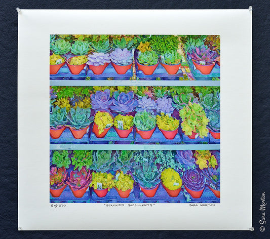 Succulent Garden Watercolor Style Art Print on Fine Art Paper