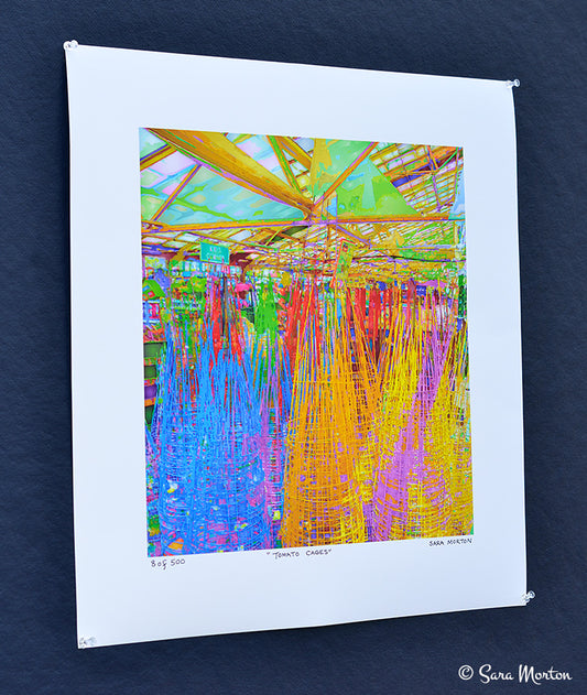 Tomato Cages Art Abstraction. 16in x 16in Print on Fine Art Paper. Ready to Ship