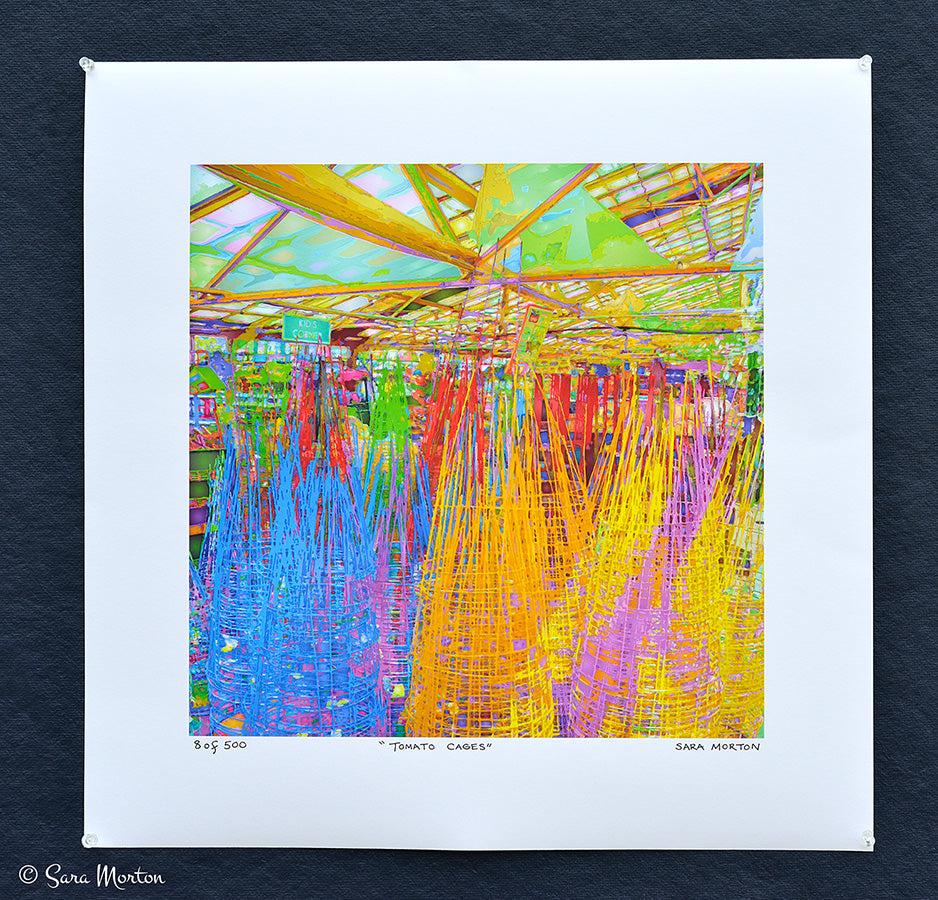Tomato Cages Art Abstraction. 16in x 16in Print on Fine Art Paper. Ready to Ship