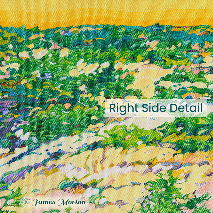 Close-up detail of Truro MA sunrise painting highlighting golden sunlit sand dunes of Cape Cod and plants with visible painting texture and brushwork.