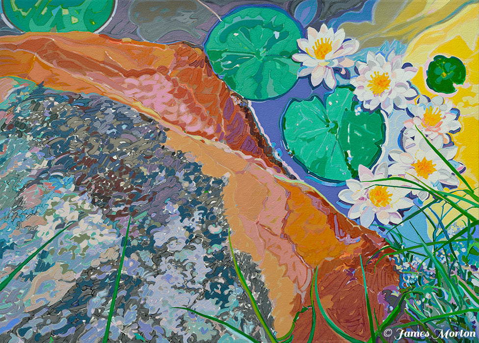 Lady Lake water lily pond painting – white water lilies, green lily pads, reflective water, and sloping boulder in serene botanical artwork