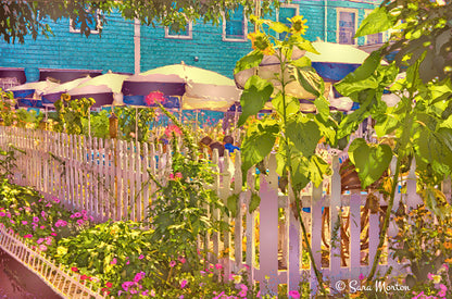 Newport Rhode Island Café Art Print  digital painting depicting an outdoor cafe with umbrellas, a white picket fence, and a flower garden, bathed in late afternoon sunlight.