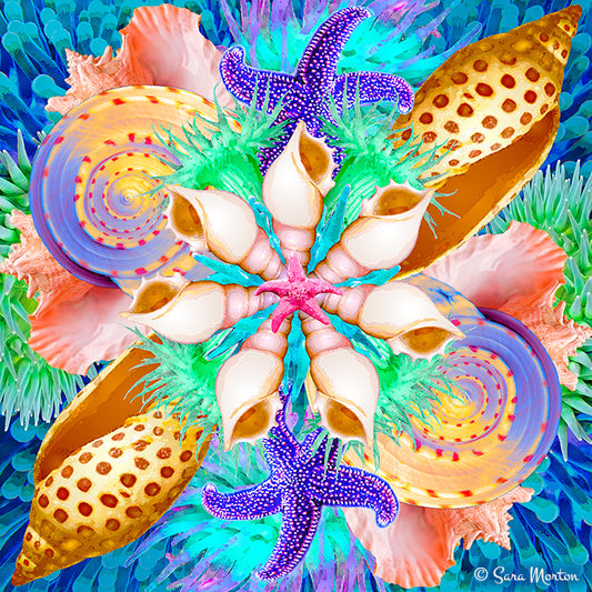 Sea Blossom - Kaleidoscope Collage Art : Starfish Seashells Sea Anemone
