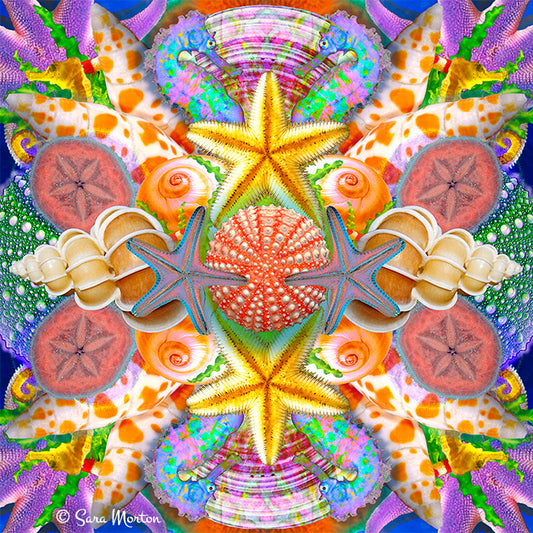 Sea Horse Siesta - Kaleidoscope Collage Art Print