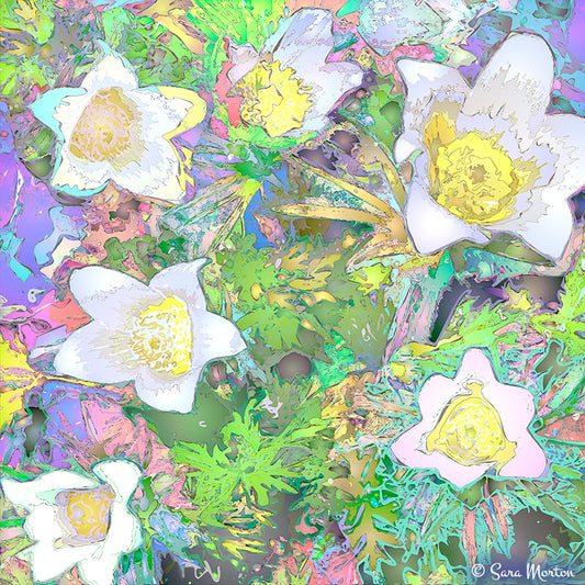 White alpine flowers abstract digital painting print with vibrant colors in a colorful and textured style by Artist Sara Morton
