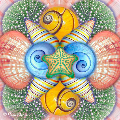 Blushing Shells kaleidoscope collage featuring starfish, scallop shells, sea urchin shells, and rainbow snail shells in soft coastal pastel colors.