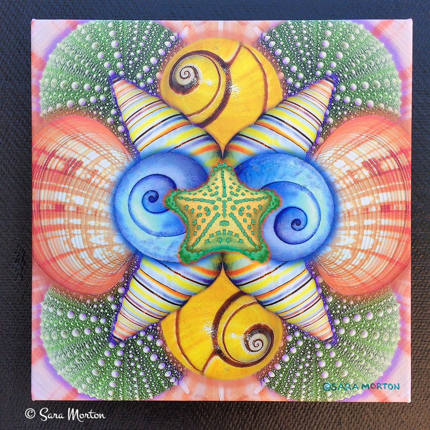 Blushing Shells kaleidoscope collage art print featuring starfish, sea stars, scallop shells, sea urchins, and rainbow snail shells in soft coastal pastel colors.