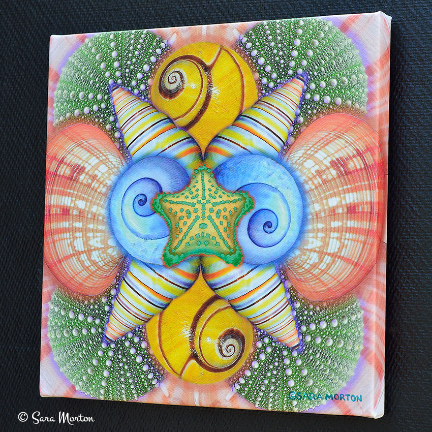 Right side view of Blushing Shells stretched canvas print showing mirror-wrapped edges and coastal seashell kaleidoscope artwork.