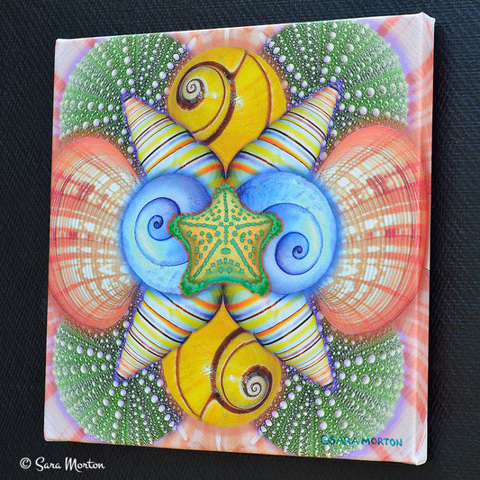 Right side view of Blushing Shells stretched canvas print showing mirror-wrapped edges and coastal seashell kaleidoscope artwork.