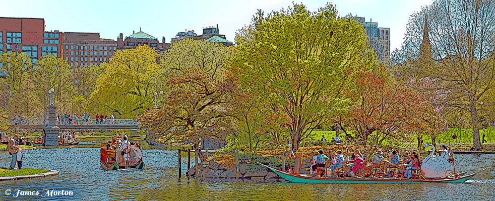 Panoramic art print of Boston Public Garden lagoon with Swan Boats, cherry blossom island, spring reflections, and Back Bay skyline
