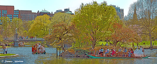 Panoramic art print of Boston Public Garden lagoon with Swan Boats, cherry blossom island, spring reflections, and Back Bay skyline