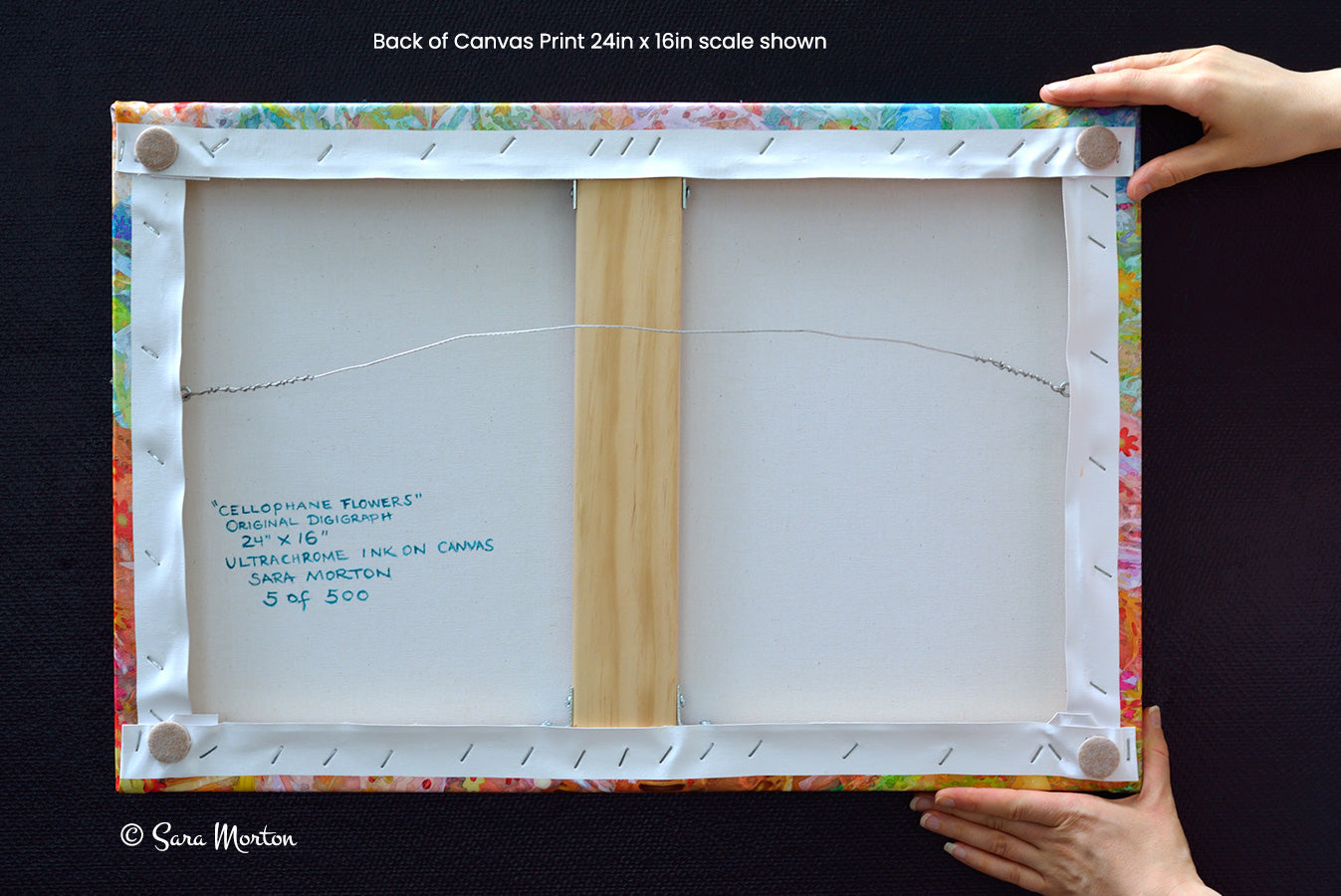 Back of Cellophane Flowers 24in x 16in stretched canvas print showing hand painted, title, dimensions and edition numbering. Held by hand for scale. 