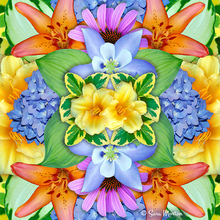 Inflorescence kaleidoscope digital collage art print featuring daylilies, hydrangeas, coneflowers, and other colorful flowers in a symmetrical design.