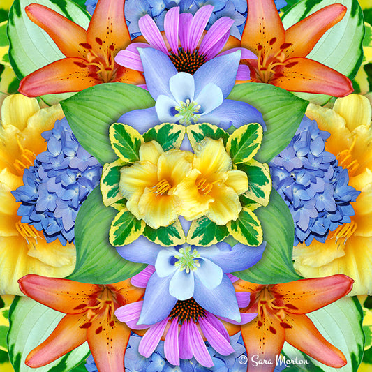 Inflorescence kaleidoscope digital collage art print featuring daylilies, hydrangeas, coneflowers, and other colorful flowers in a symmetrical design.
