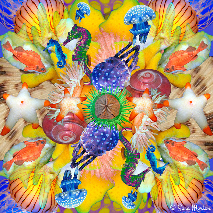 Colorful sea-themed kaleidoscope art collage including fish, seahorses, and seashells. Fine art prints available on canvas and watercolor paper. 