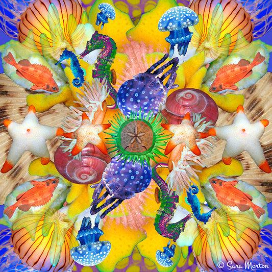Colorful sea-themed kaleidoscope art collage including fish, seahorses, and seashells. Fine art prints available on canvas and watercolor paper. 