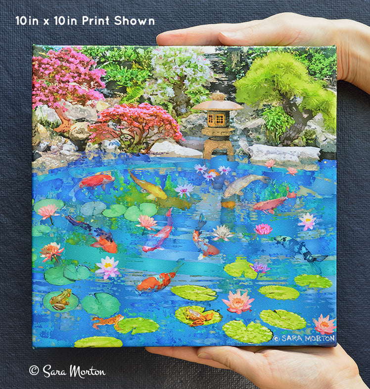 Koi Fish Water Garden Art - Stretched Canvas Print 10in x 10in - Ready to Ship