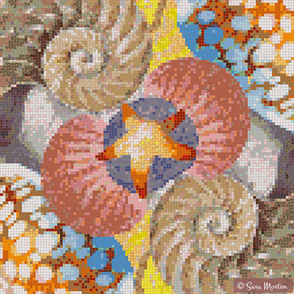 Nautilus star digital mosaic art print featuring seashells and starfish in warm beige, pink, and golden tones