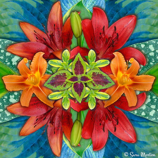 Rendezvous kaleidoscope collage art print  featuring orange daylilies, red Asiatic lilies, purple coleus, and hosta leaves in a symmetrical floral design