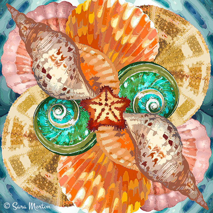 Colorful Kaleidoscope Collage Art print of seashells and a starfish with a teal blue shell patterned background. 