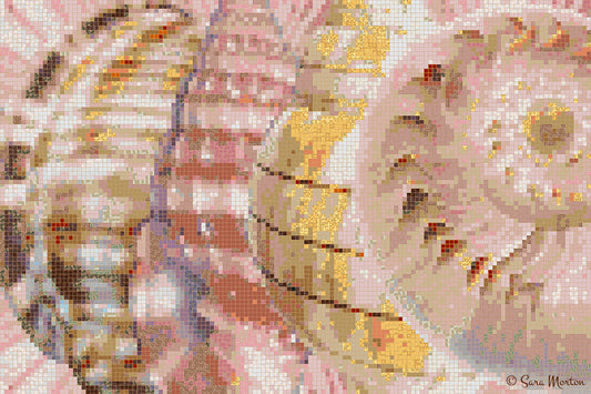 Digital mosaic art print “Sequential Shells” showing four overlapping seashells with striped and marbled patterns in rose, beige, gold, and white tones. 