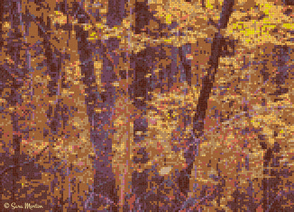 Digital mosaic artwork titled “Sienna Trees Two” featuring abstract fall trees in gold, sienna, and ochre tones with deep violet trunks, inspired by Rocky Woods in Medfield, Massachusetts. Created by artist Sara Morton. 