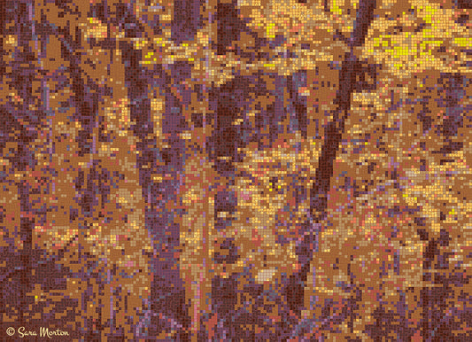 Digital mosaic artwork titled “Sienna Trees Two” featuring abstract fall trees in gold, sienna, and ochre tones with deep violet trunks, inspired by Rocky Woods in Medfield, Massachusetts. Created by artist Sara Morton. 