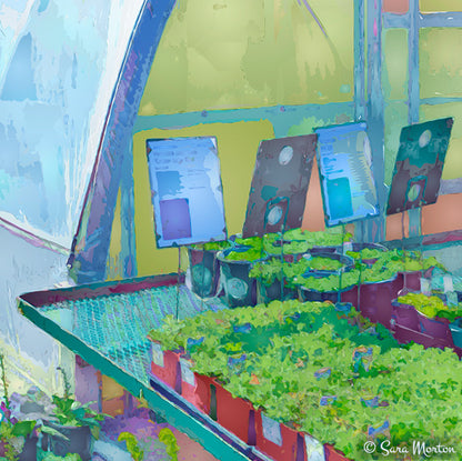 Close-up detail of Solarium D3 showing the white arched greenhouse and tabletop plants, highlighting the soft watercolor texture and gentle light of the Digigraph artwork