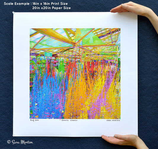 Tomato Cages Art Abstraction. 16in x 16in Print on Fine Art Paper. Ready to Ship