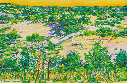 Original acrylic landscape painting of sunrise over Truro sand dunes, Cape Cod MA, featuring beachgrass and coastal plants with warm golden light.
