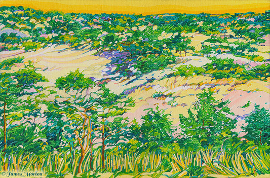 Original acrylic landscape painting of sunrise over Truro sand dunes, Cape Cod MA, featuring beachgrass and coastal plants with warm golden light.
