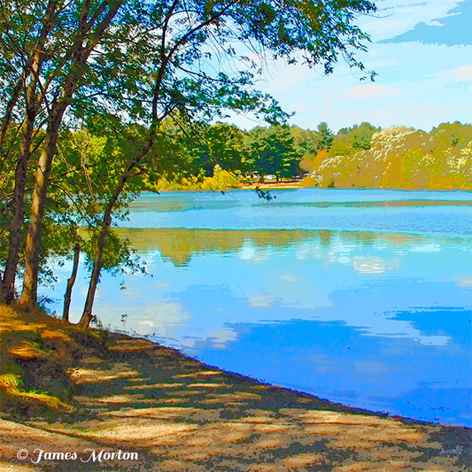 Milton, MA, detail view of Turner's Pond landscape Art Print showing water reflections of  trees and a clear blue sky.
